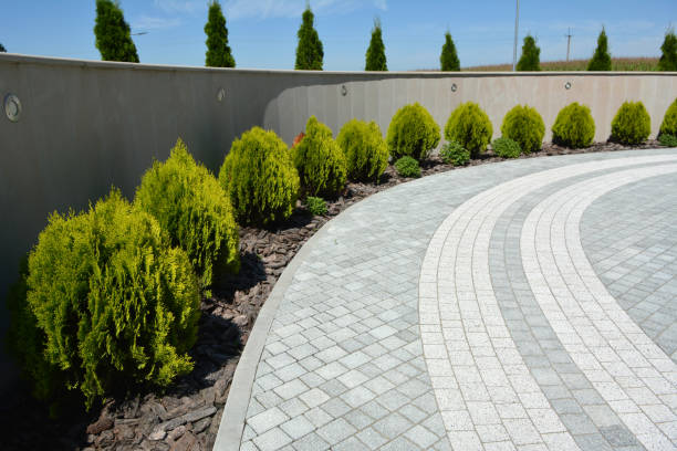 Best Residential Driveway Paver Services  in Williamsburg, KY